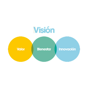Nuestra Visión