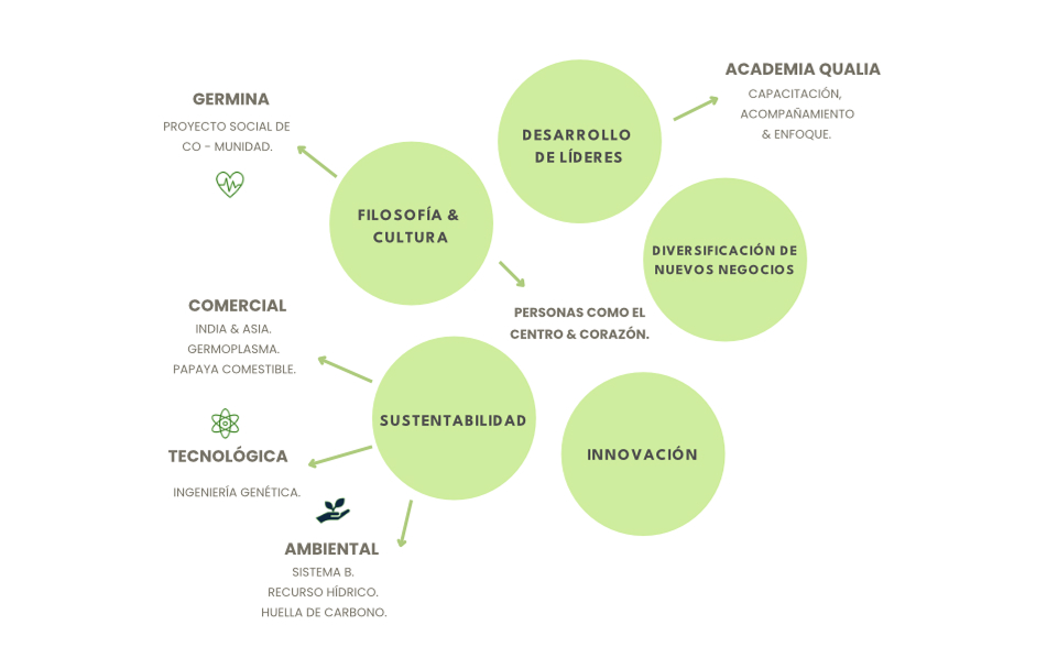 Estrategias Visión 2032